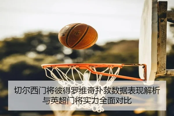 切尔西门将彼得罗维奇扑救数据表现解析与英超门将实力全面对比